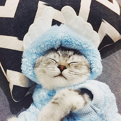 CozyKitty™ Pet Hoodie