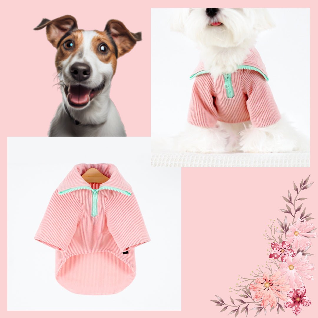 Cute Pet Zip Jacket Sweater