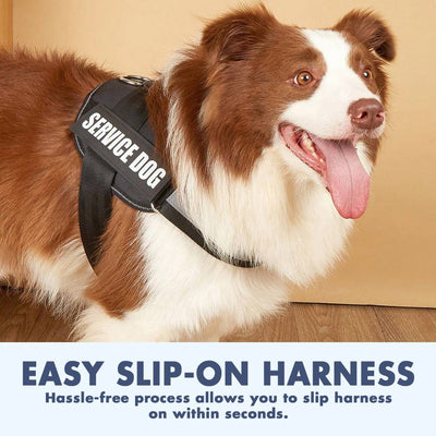 EZHarness™ - Slip-On Dog Harness