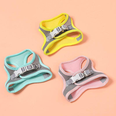 Pastel Colors Dog Harness Leash Set