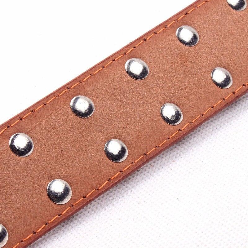 Sharp Spiked Studded Leather Dog Collars