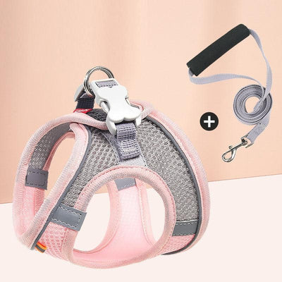 Pastel Colors Dog Harness Leash Set