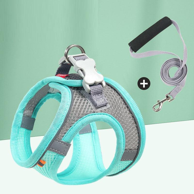 Pastel Colors Dog Harness Leash Set