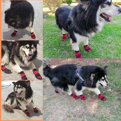 PawShield™ Waterproof Pet Boots