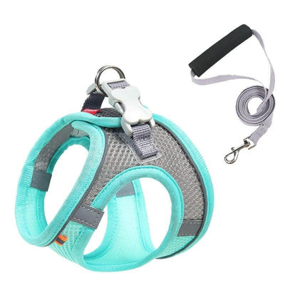 Pastel Colors Dog Harness Leash Set